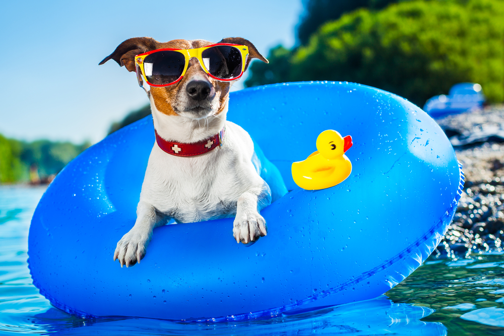 The Future's So Bright, You'll Have To Wear Shades